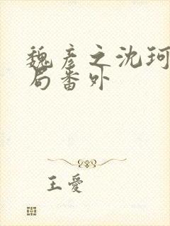魏彦之沈珂大结局番外