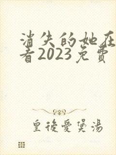 消失的她在线观看2023免费封面