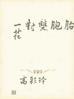 一对双胞胎姐妹花