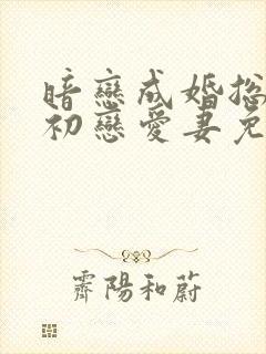 暗恋成婚总裁的初恋爱妻免费阅读