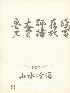 鲁大师在线观看免费播放电视剧软件封面