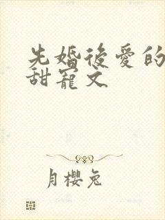 先婚后爱的古言甜宠文