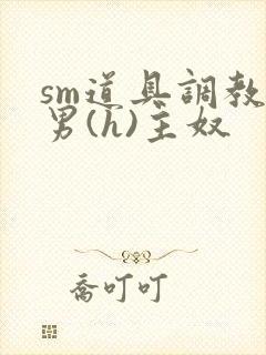 sm道具调教男男(h)主奴