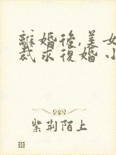 离婚后,美女总裁求复婚 小楚封面