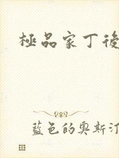 极品家丁后传封面