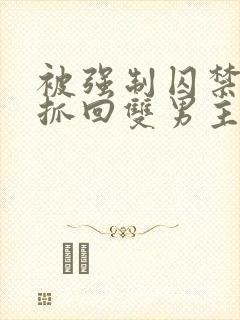 被强制囚禁逃跑抓回双男主