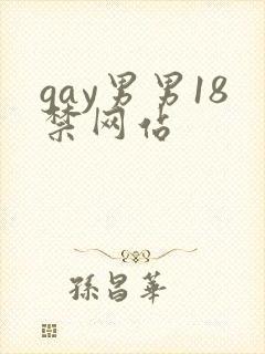 gay男男18禁网站