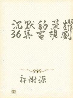 沉默的荣耀1—36集电视剧在线观看