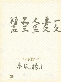 精品人妻一区二区三区久久久