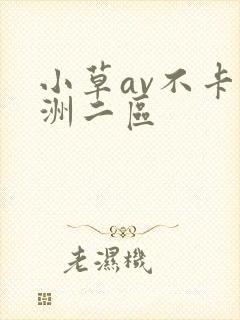 小草av不卡亚洲二区