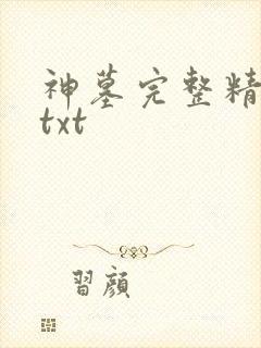 神墓完整精校版txt