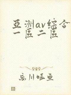 亚洲av综合区一区二区