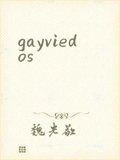 gayviedos封面