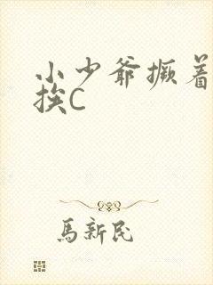 小少爷撅着屁股挨C封面