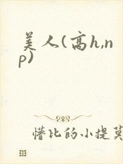 美人(高h,np)