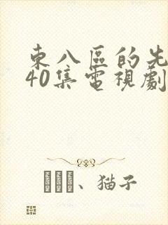 东八区的先生们40集电视剧封面