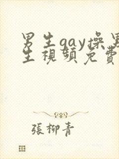 男生gay操男生视频免费看封面