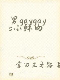 男gaygays小鲜肉