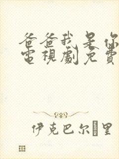 爸爸我是你媳妇电视剧免费观看封面