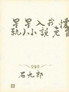 星星入我怀(出轨)小说免费阅读全文txt封面