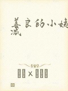 善良的小姨无删减