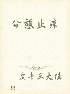 公憩止痒封面