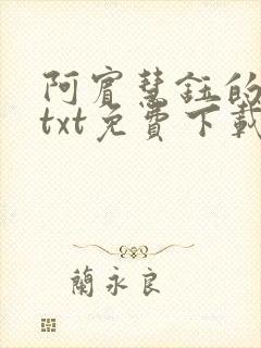 阿宾慧钰的小说txt免费下载