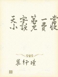 天字第一当有声小说免费收听封面