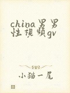 china男男性视频gv