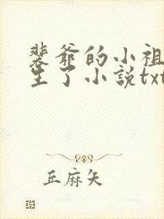 裴爷的小祖宗重生了小说txt