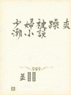 少妇被躁爽到高潮小说封面