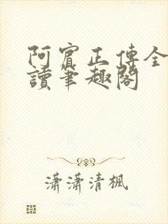 阿宾正传全文阅读笔趣阁