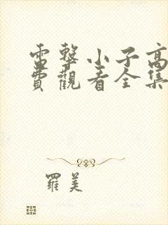 电击小子高清免费观看全集封面
