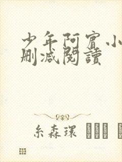 少年阿宾小说无删减阅读