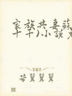家族共妻苏苏(十千)小说免费