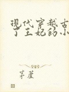 现代穿越古代成了王妃的小说