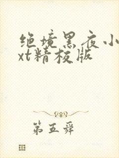绝境黑夜小说txt精校版
