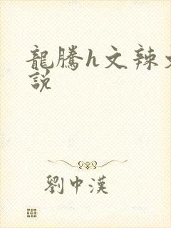 龙腾h文辣文小说