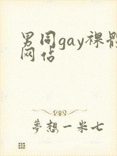 男同gay裸体网站封面