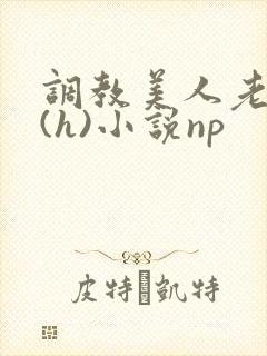 调教美人老师高(h)小说np