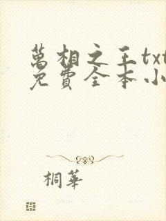 万相之王txt免费全本小说