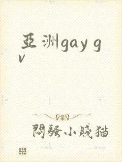 亚洲gay gv