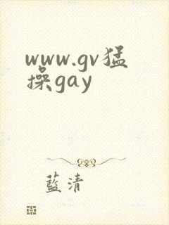 www.gv猛操gay封面