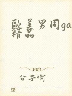 欧美男同gay精品