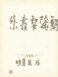 苏竟和陆知夏的小说笔趣阁封面