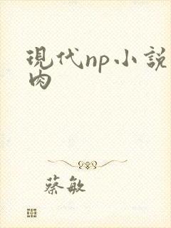 现代np小说h肉