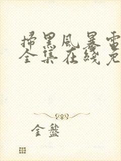 扫黑风暴电视剧全集在线免费观看封面