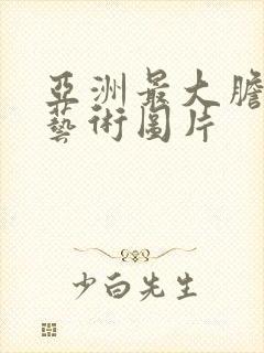 亚洲最大胆人体艺术图片