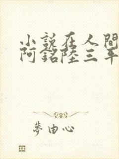 小说在人间采薇阿铭陆三平免费阅读