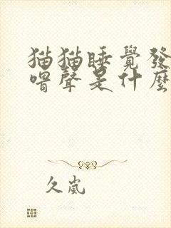 猫猫睡觉发出噜噜声是什么